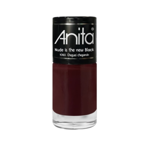 Anita_Cheguei_Chegando.png